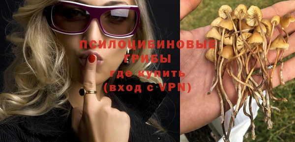 хмурый Нягань