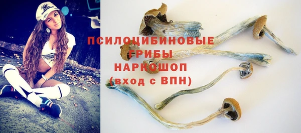 бошки Няндома